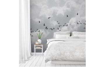 Clouds