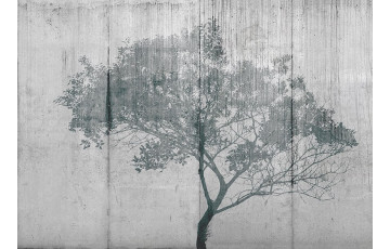 Branches