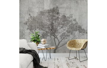 Branches